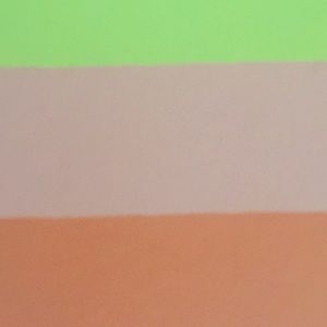 Meet your Posher, Vanda